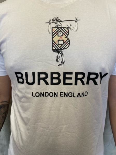 Camiseta 2024 burberry preco